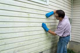 Best Vinyl Siding Installation  in Phoenix Lake, CA